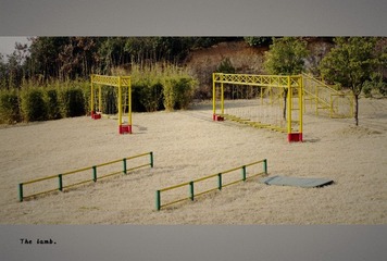 _IGP9386_conew1