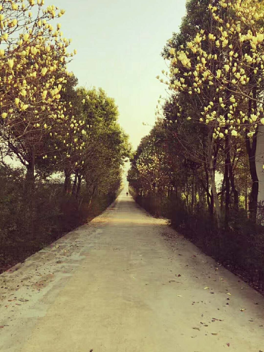 未来的路还很长