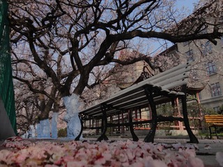 00DSC01964.JPG