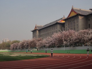DSC01865.JPG