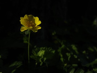 DSC02680.JPG