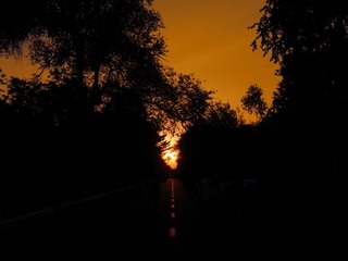 DSC02777ps.jpg