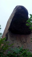 408554