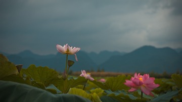 001