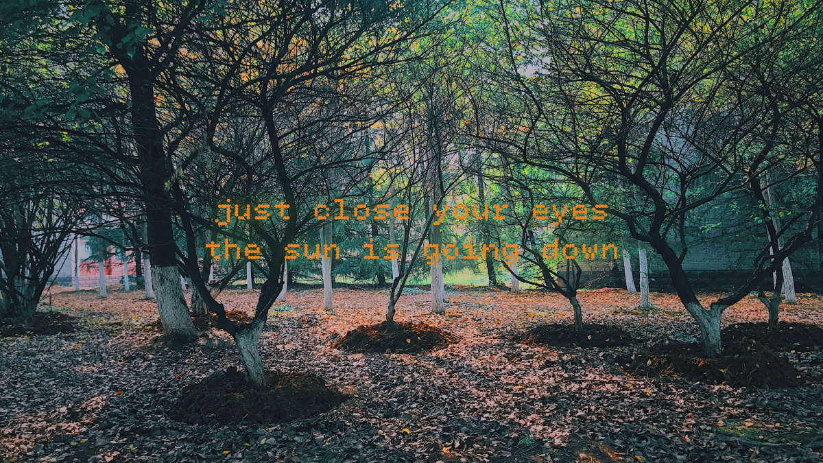 树- the_mirror_of_erised