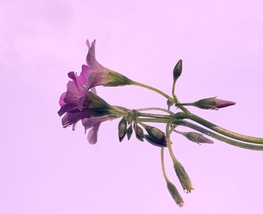 5F6BBE18-763D-4CF7-908D-307A7E217528/L0/001