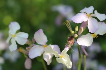 IMG_0255.JPG