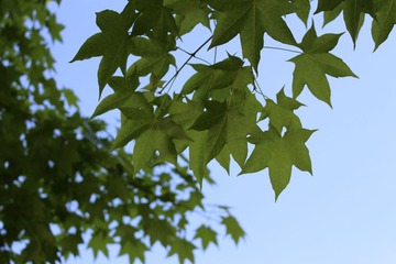 IMG_0261.JPG