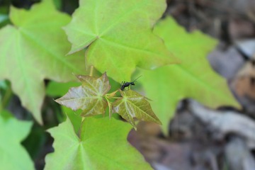 IMG_0263.JPG
