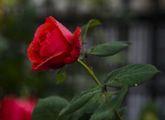 174087