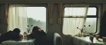 3206155