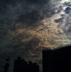 20110628(002)