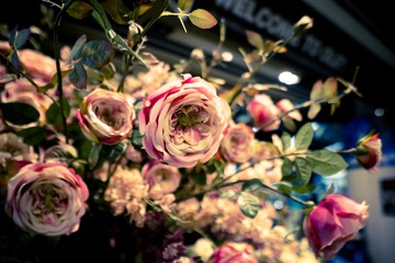 _DSC8804