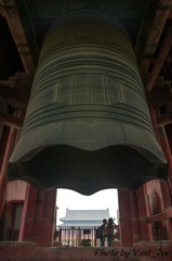 DSC_1270-1.jpg
