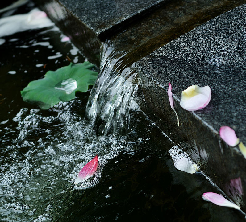 落花有意随流水