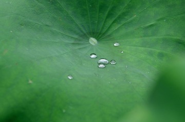 水滴