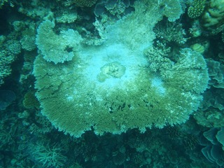 IMGP0068.jpg