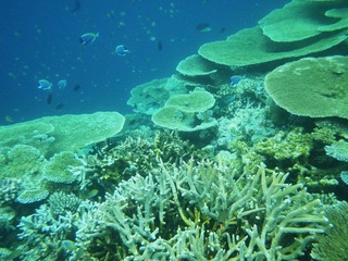 IMGP0080.jpg