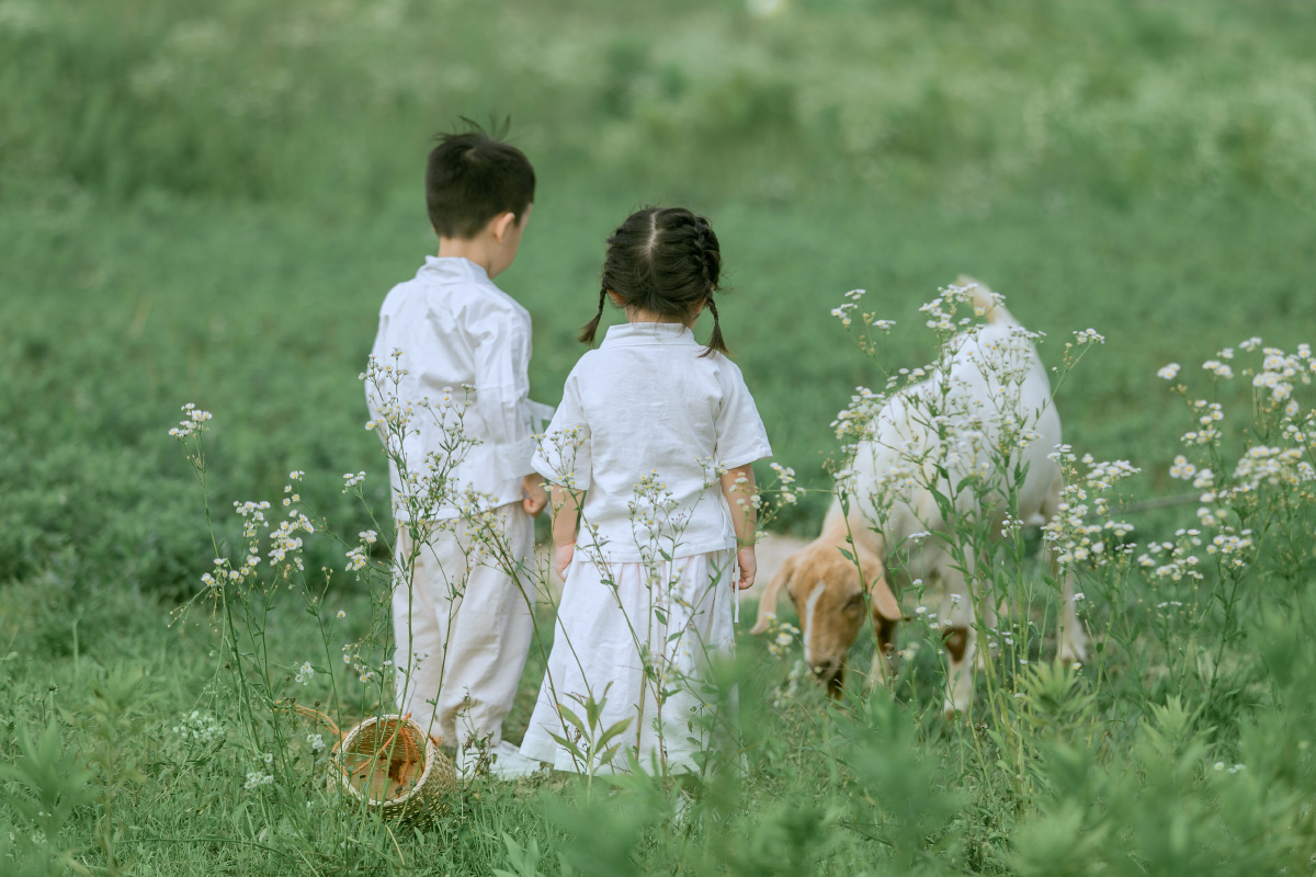 放羊的小牧童青梅竹马