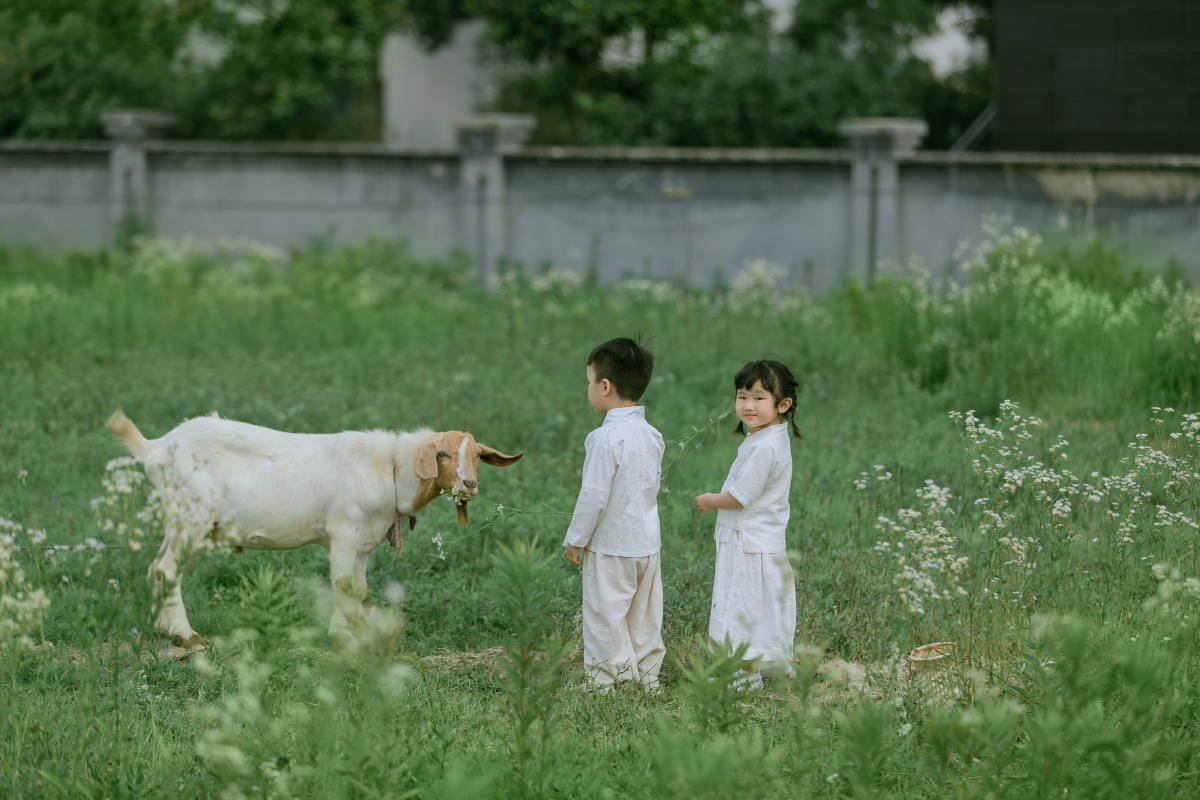 放羊的小牧童(青梅竹马) - 白喵了个咪 - 图虫