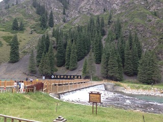 PIC_9562702922113282339