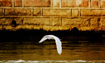 IMG_5660.JPG