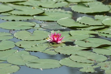 IMG_4355.JPG