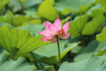 IMG_4358.JPG