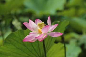 IMG_4359.JPG