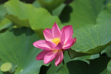 IMG_4360.JPG