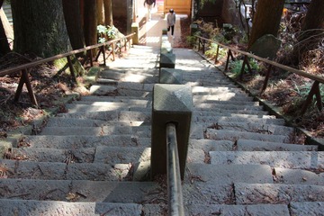 IMG_4950.JPG