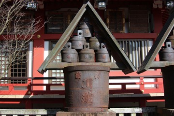 IMG_4953.JPG