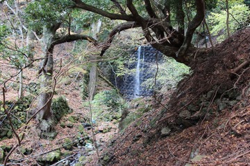 IMG_4995.JPG