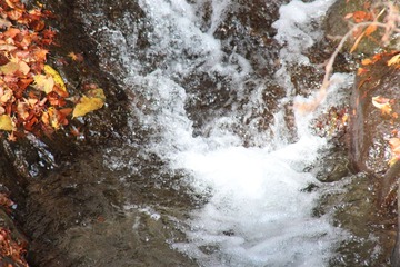 IMG_4999.JPG