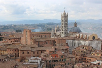 IMG_1598.JPG