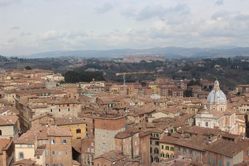IMG_1604.JPG