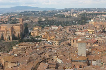 IMG_1608.JPG