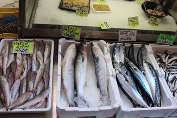IMG_1969.JPG