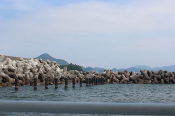 IMG_6180.JPG
