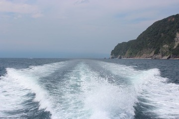 IMG_6205.JPG
