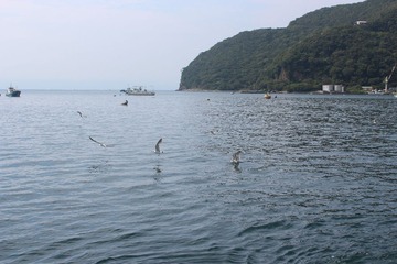 IMG_6231.JPG
