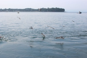 IMG_6232.JPG