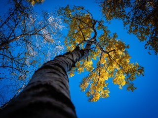 _DSF9374_1