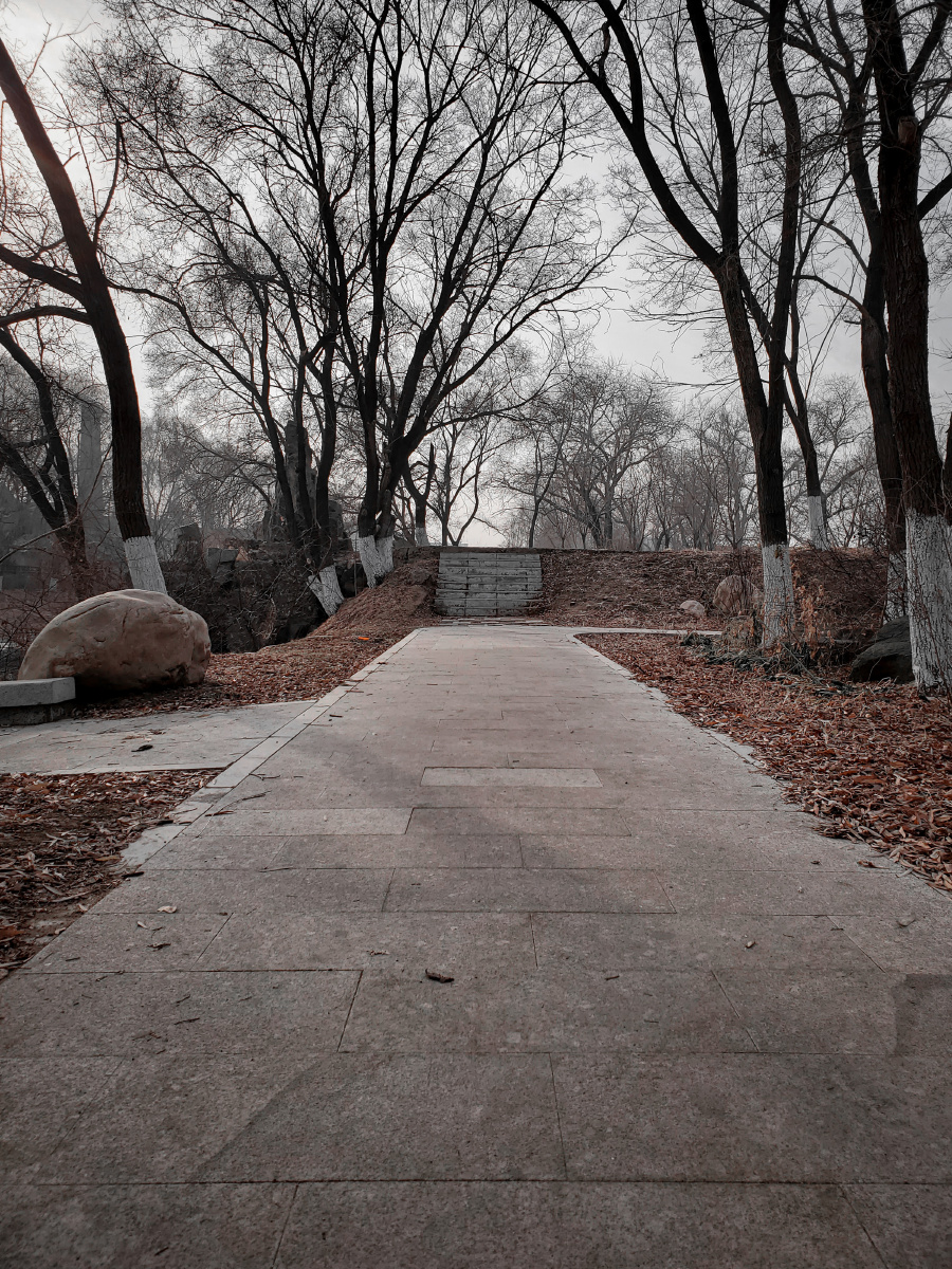 荒芜的新一线城市呵呵