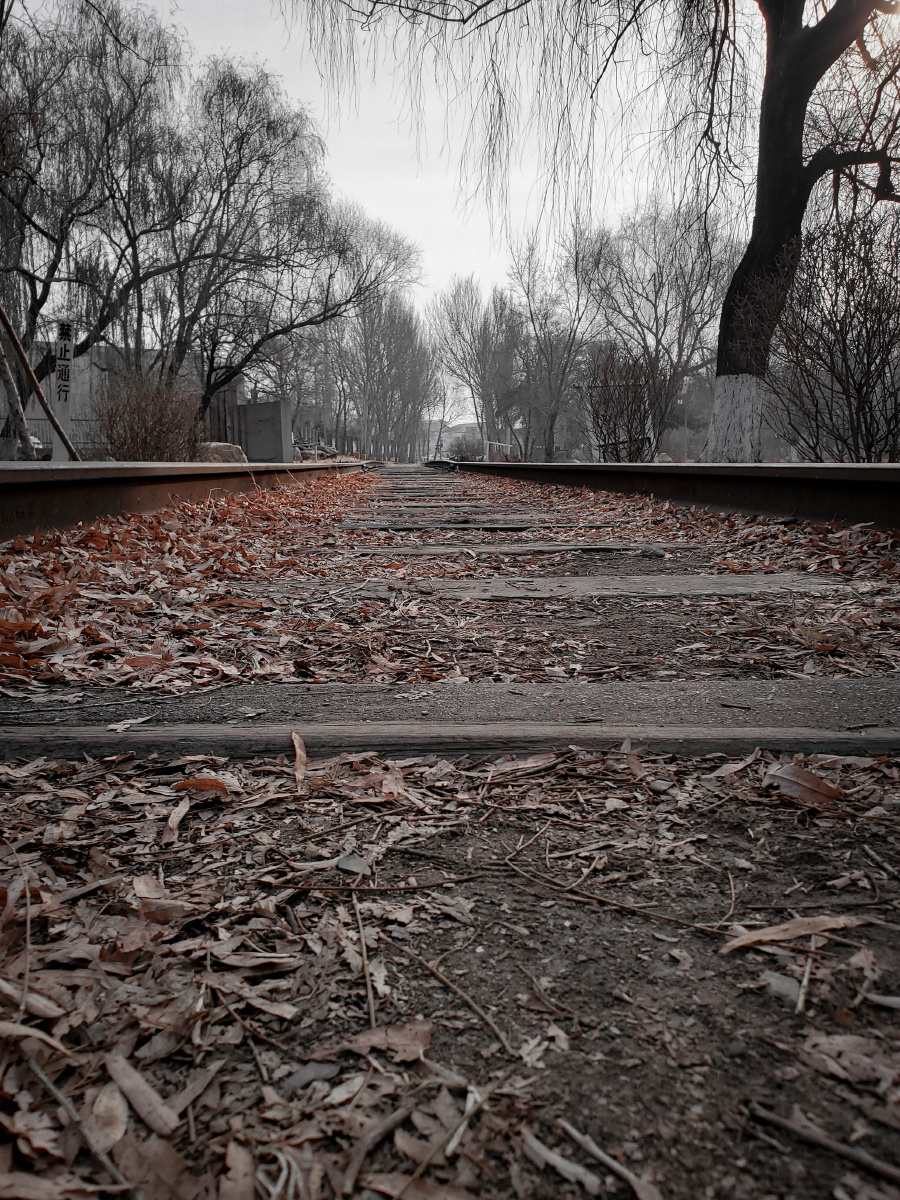 荒芜的新一线城市呵呵