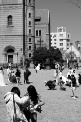DSC_2219.jpg