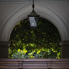 _DSC4322-1