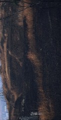 657887