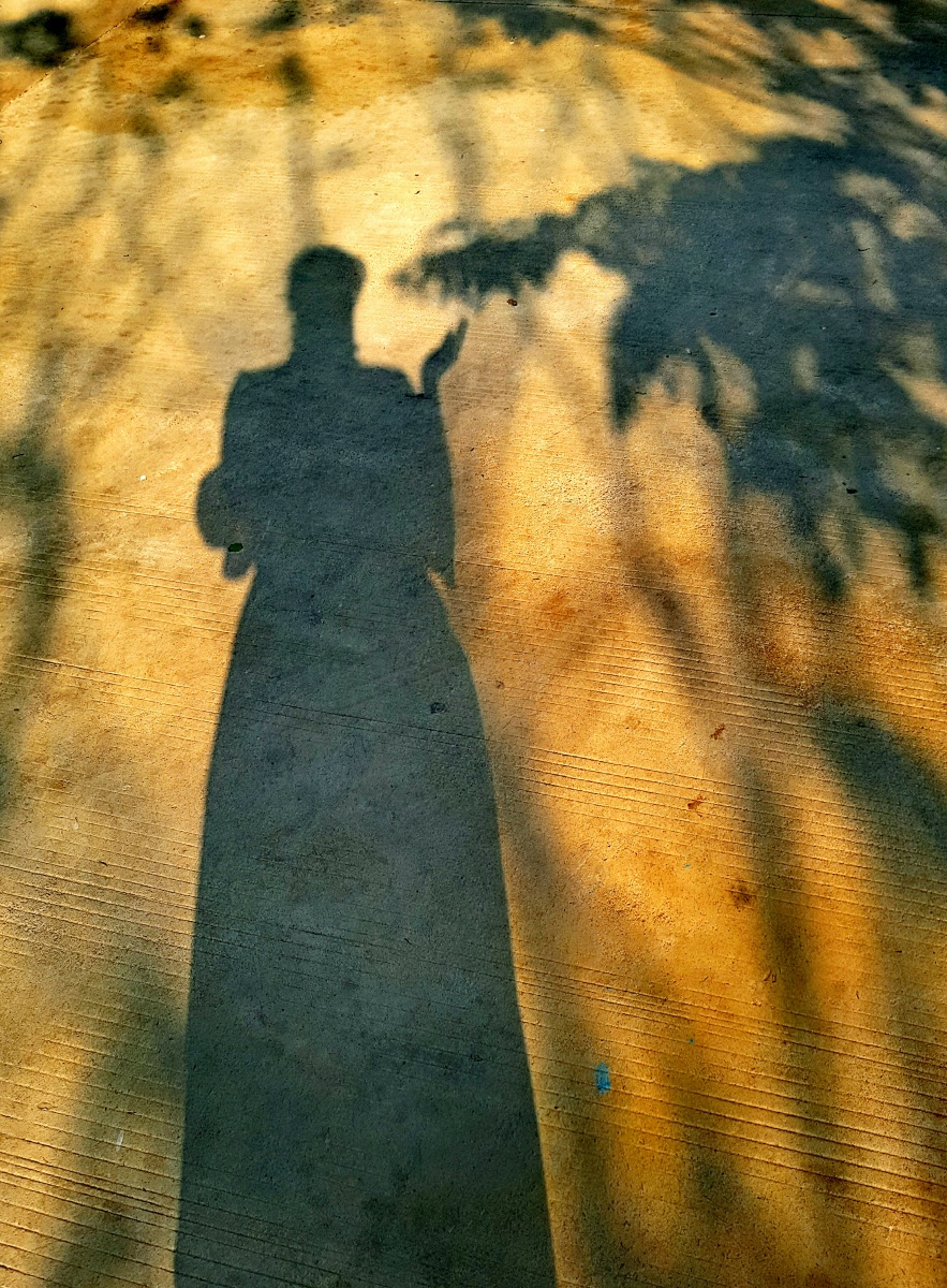 自拍照可以是自己的倒影,早晨的阳光,威风摇曳的树影,留下一抹倒影