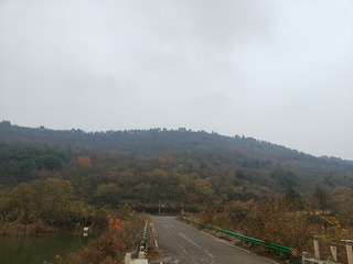 1000034268